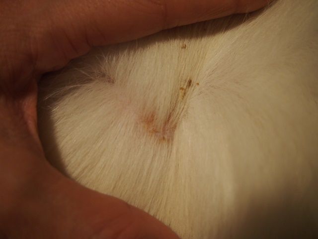 モルヒネに基づいて: 陣痛よりもひどい 12 の痛みを発見