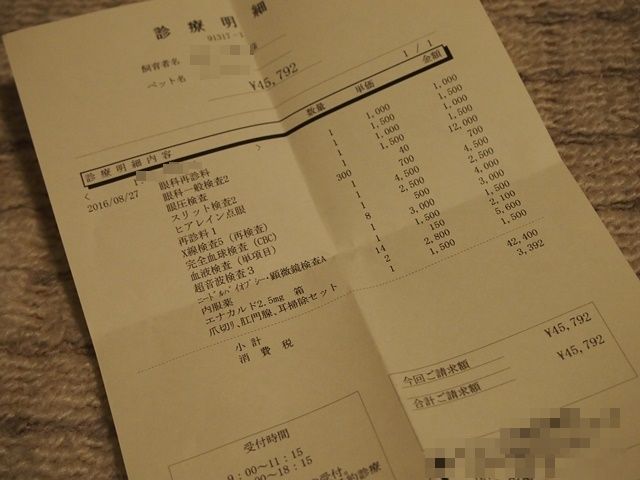 フィンランドのアーティストが「紙のサムライ」を作るのに3か月かかる