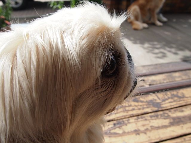 新しい血液検査は50種類以上のがんを検出できる