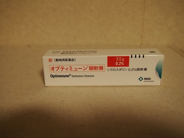新しい血液検査は50種類以上のがんを検出できる