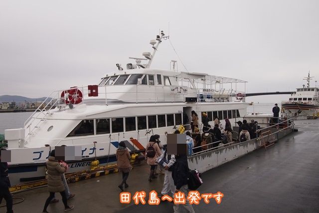 見逃せないキリンに関する 7 つの興味深い事実