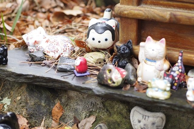 なぜ心不全が咳を引き起こすのでしょうか?