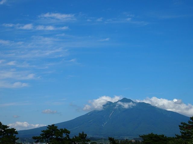 素晴らしい彫刻がモントリオール植物園に命を吹き込みます