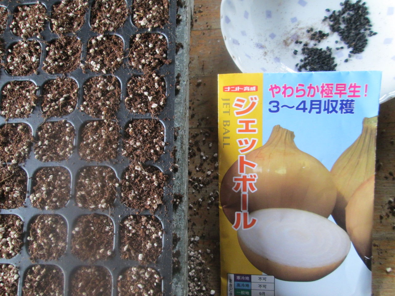有効期限間近 七宝早生7号 玉ねぎ種子
