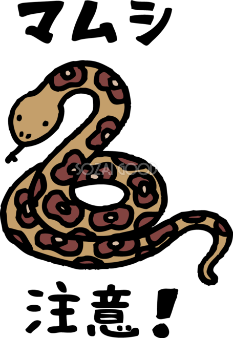 ムカデに噛まれた マムシを殺した 音の谷商店お米 野菜販売ブログ ムカデに噛まれた マムシを殺した 音の谷商店お米 野菜販売ブログ