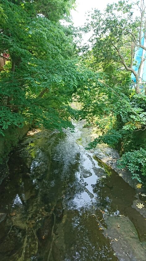 新鎌倉漫歩49 滑川東勝寺橋 青砥藤綱の旧跡 18 05 18 音の楽しみ 新鎌倉漫歩49 滑川東勝寺橋 青砥藤綱の旧跡 18 05 18 音の楽しみ