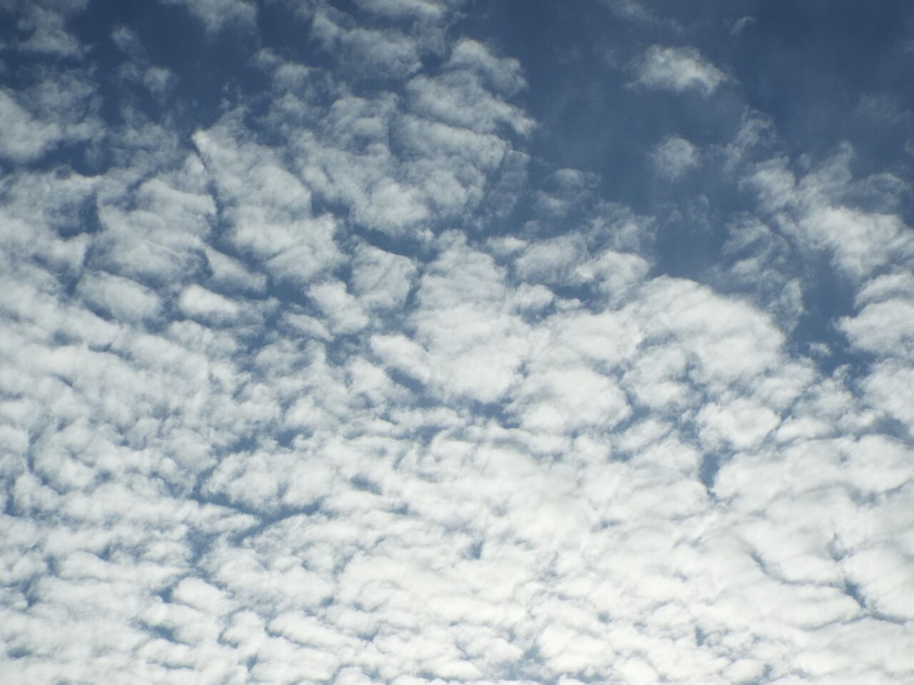 自然の風景 雲１ 羊雲 高積雲 21 02 14 音の楽しみ
