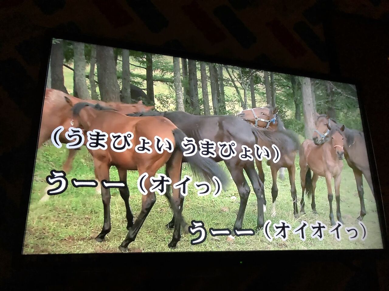 速報 ウマ娘 うまぴょい伝説 アニソンチャート1位 おとたらしちゃんねる 音楽まとめ