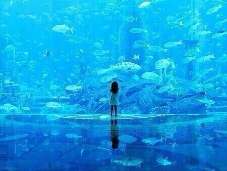 水族館