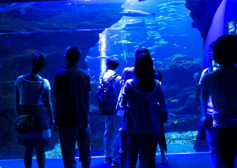水族館