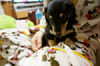 1日目 不安顔