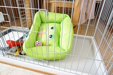 ど~こだ