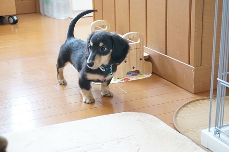 おおきくなったね
