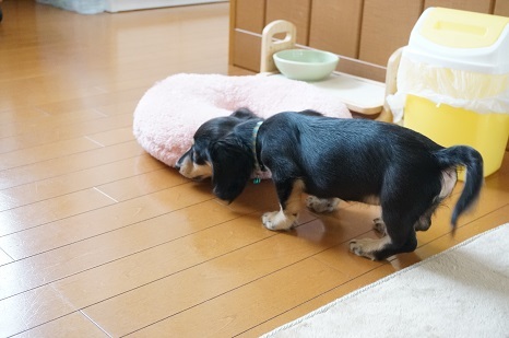 このおこのお