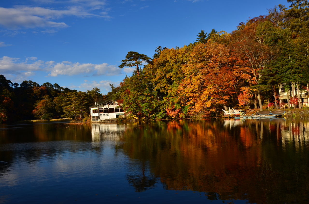 秋色に染まる風景 静かな湖畔 松原湖 と南八ヶ岳 おっとりな風景 洋楽散歩道 秋色に染まる風景 静かな湖畔 松原湖 と南八ヶ岳 おっとりな風景 洋楽散歩道