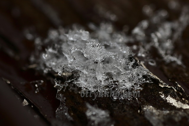 雪結晶を撮ったのでござる : おっちゃんこのトンデモ撮影記