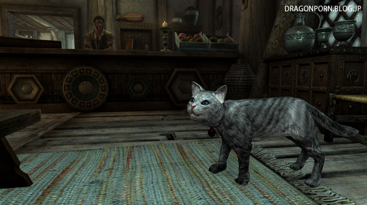 Cats In Skyrim スカイリムが猫だらけになるmod Dragon Hd