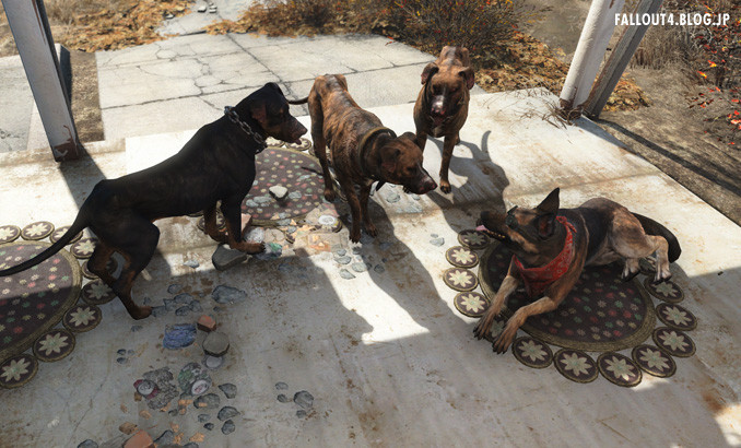 Dog Rug Fallout4 情報局