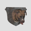 犬