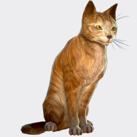 6812
