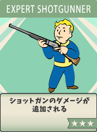 Expert-Shotgunner