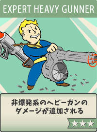Expert-Heavy-Gunner