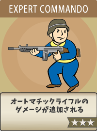 Commando-Expert