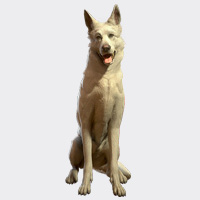 6810