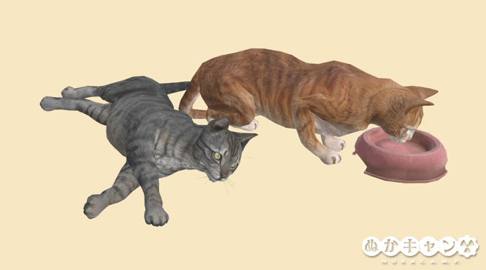 猫 ぬかキャン Fallout 76 サバイバルガイド 猫 ぬかキャン Fallout 76 サバイバルガイド
