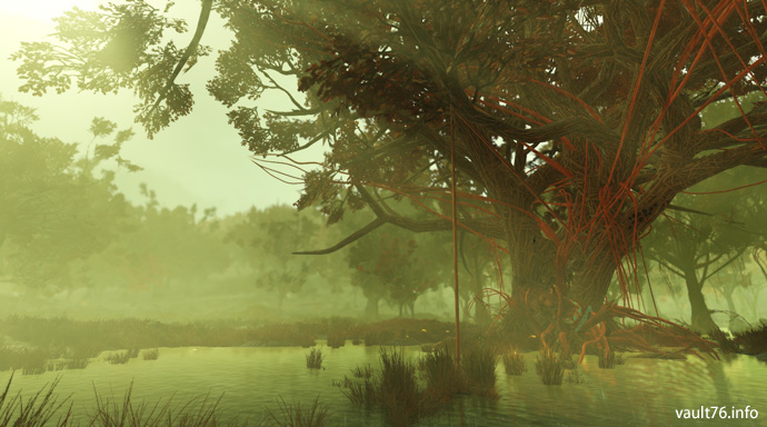 節くれだった巨木の生えた浅瀬 Gnarled Shallows ぬかキャン Fallout 76 サバイバルガイド 節くれだった巨木の生えた浅瀬 Gnarled Shallows ぬかキャン Fallout 76 サバイバルガイド