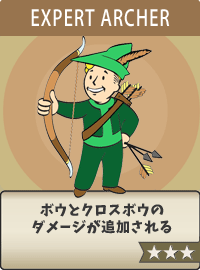 Archer-Expert
