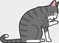 6348