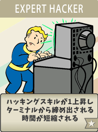 Hacker-Expert