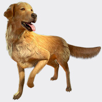 6808