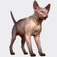 6815