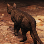 猫 ぬかキャン Fallout 76 サバイバルガイド 猫 ぬかキャン Fallout 76 サバイバルガイド