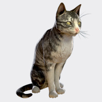 6806