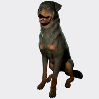 6817