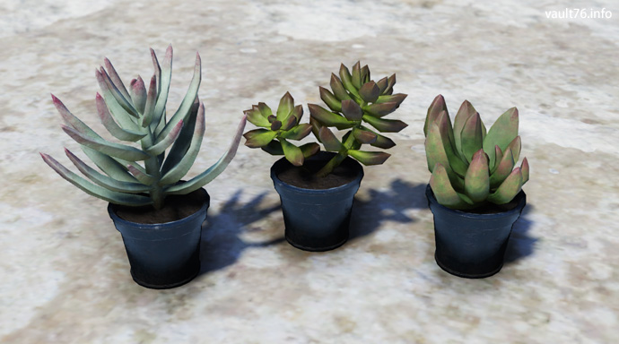 鉢植えの多肉植物 ぬかキャン Fallout 76 サバイバルガイド