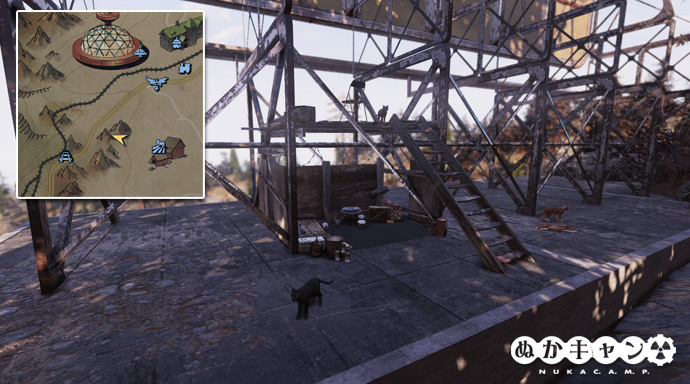 猫 ぬかキャン Fallout 76 サバイバルガイド 猫 ぬかキャン Fallout 76 サバイバルガイド