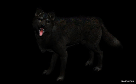 776
