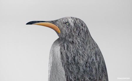 519