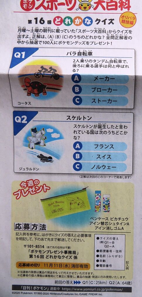 ポケモン ステンドグラスの庭