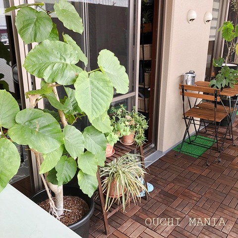 balcony182