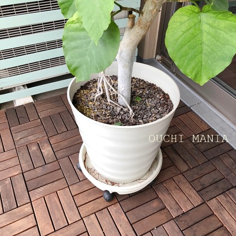 balcony174