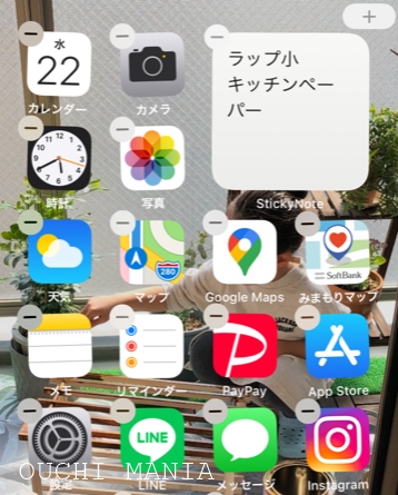 other2867