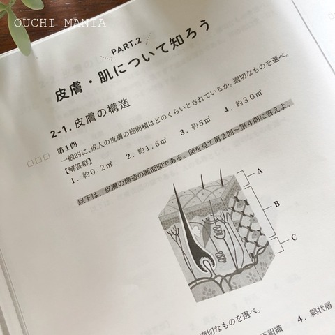 other3448