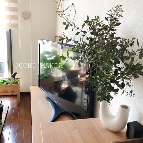 kitchin1119