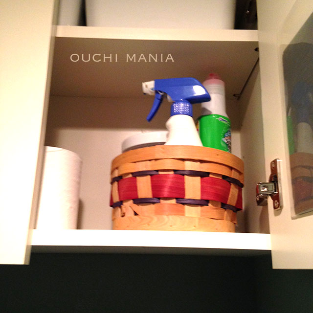 toilet23.jpg