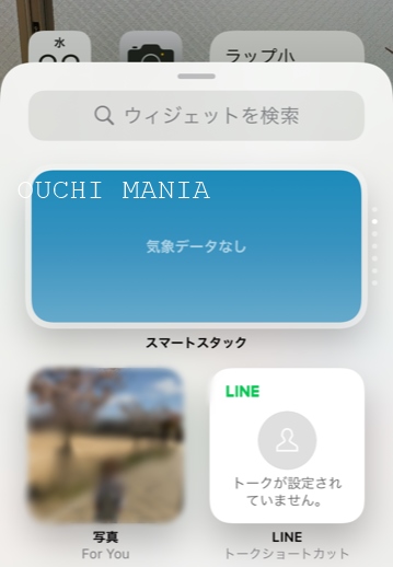 other2868